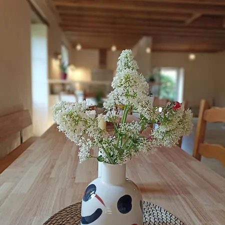 D'hote En - Moulin De La Houssaie - Broceliande Bed & Breakfast *